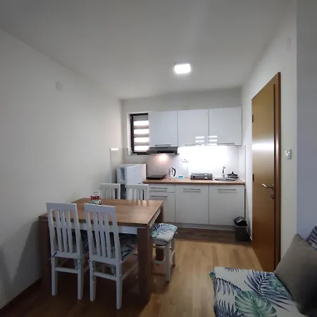 Lane * 소코 반자