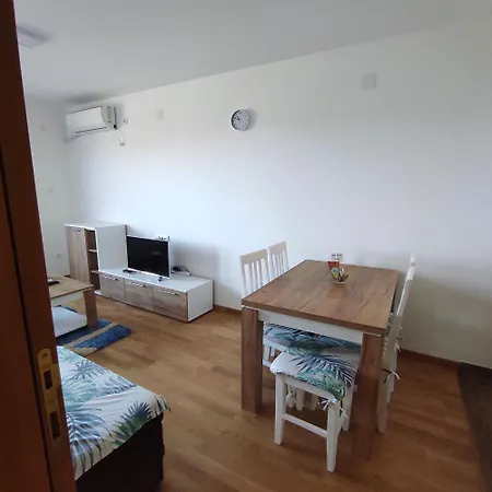 Lane * 소코 반자