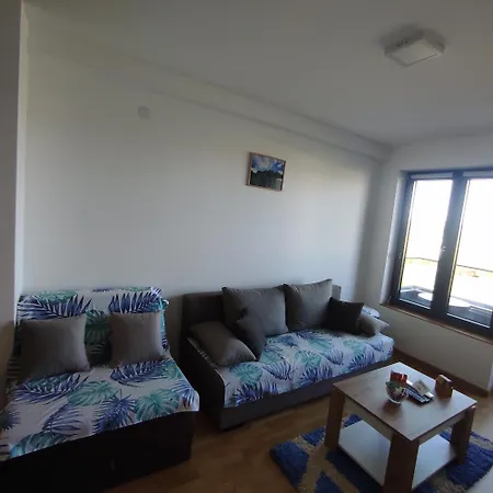 Lane * 소코 반자