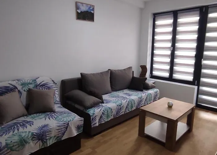 Appartamento Lane Soko Banja