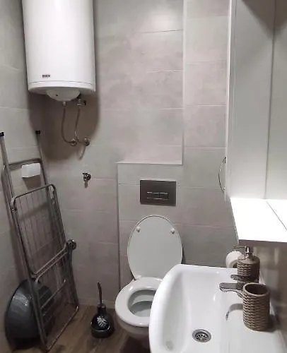 Appartamento Lane Soko Banja